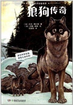 探索小狼狗高手论坛，网络文化的新兴阵地