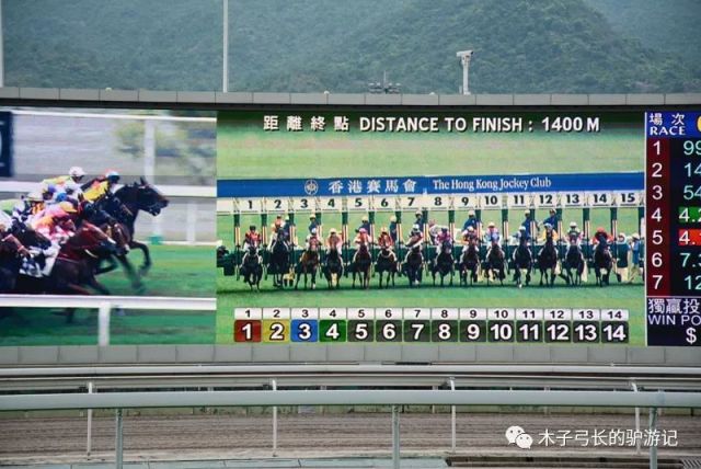 2019年香港马会资料大全，传承与创新并进的赛马盛事