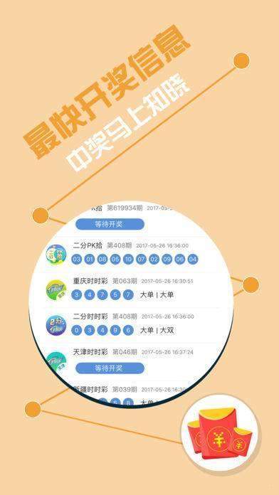 揭秘王中王开奖结果49333，数字背后的故事与影响