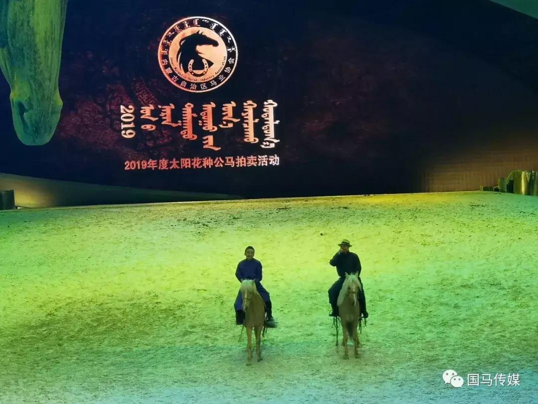 新闻资讯 第21页