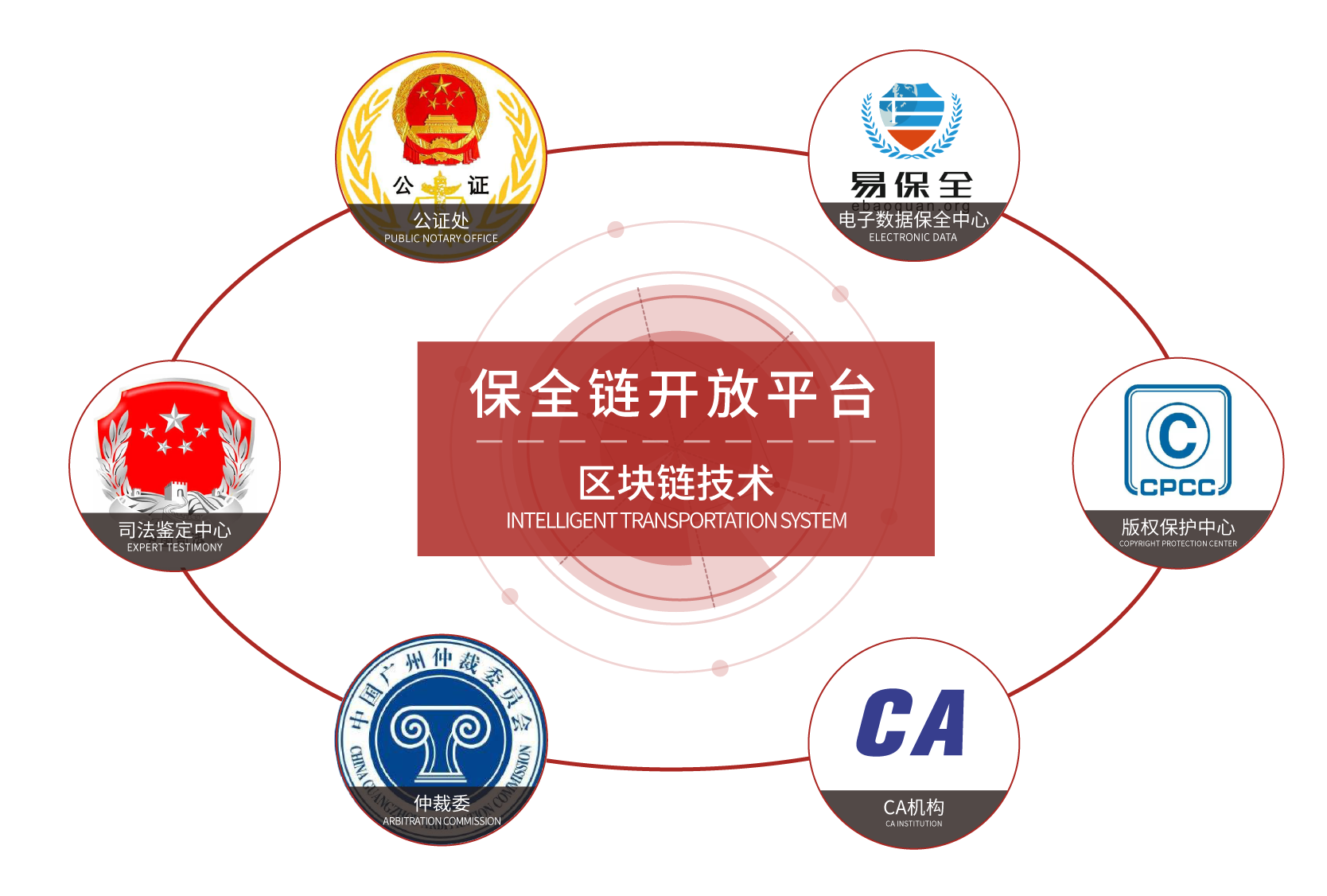 七星彩南海论坛，数字背后的智慧与乐趣