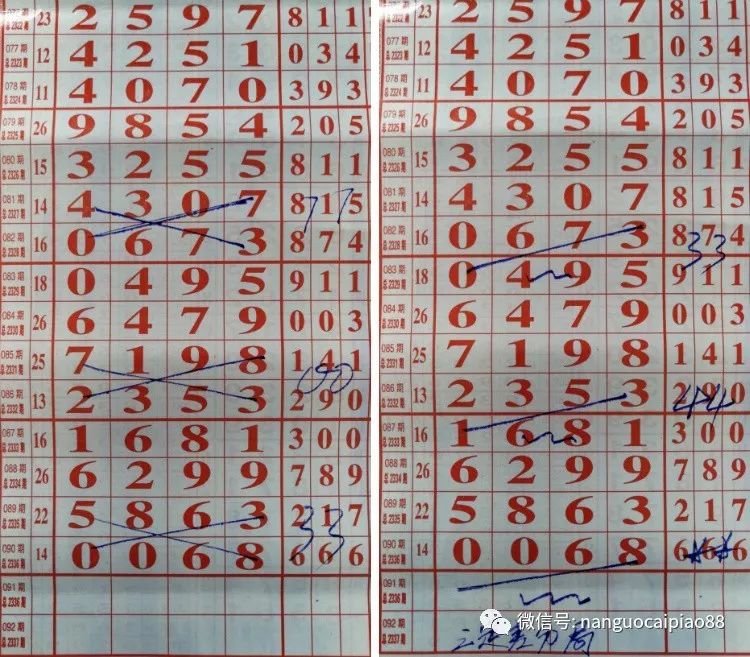海南七星彩精彩论坛，探索数字背后的幸运与智慧