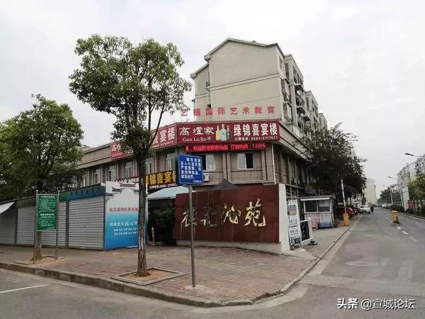 天天论坛，网络交流的温馨港湾