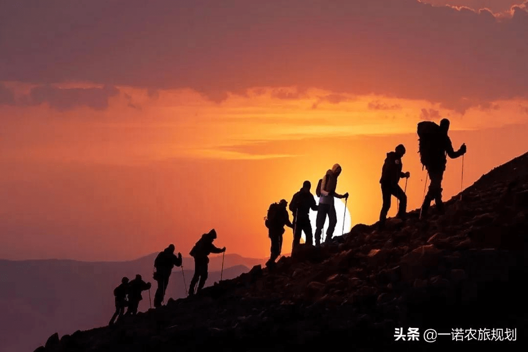 顶尖高手坛，攀登巅峰的智慧与勇气
