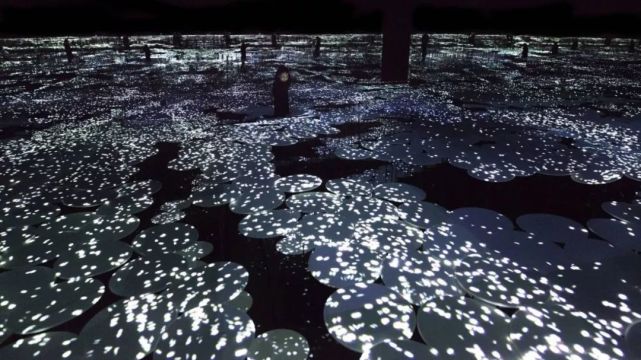 探索数字世界的奇妙，49579与908181的神秘交织