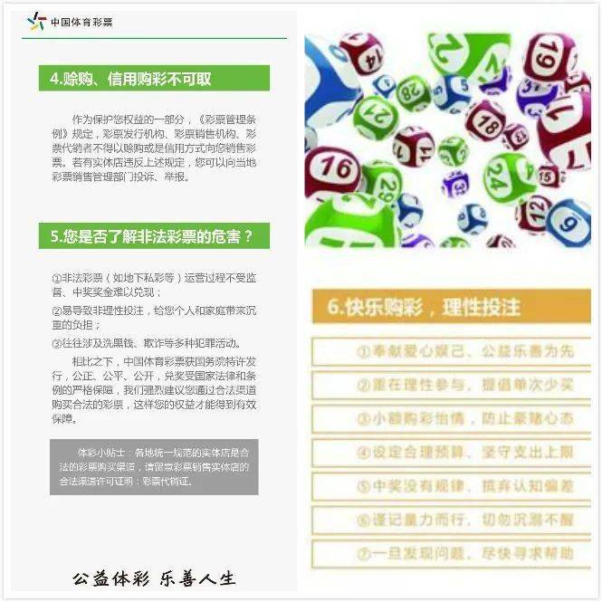 三期必出，彩票投注中的理性与信念